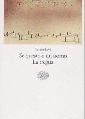 Se questo è un uomo