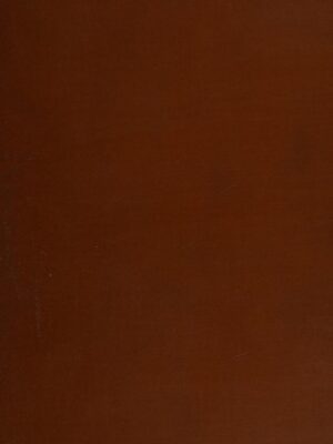 Lawrence and the Arabian adventure