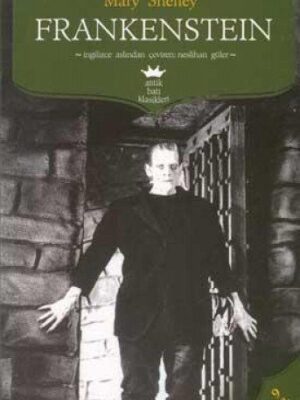 Frankenstein or The Modern Prometheus