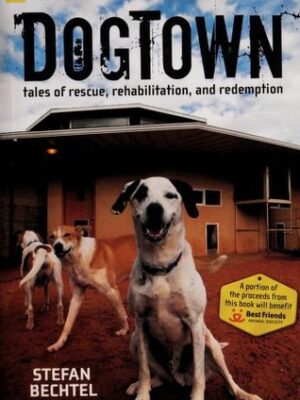 Dogtown