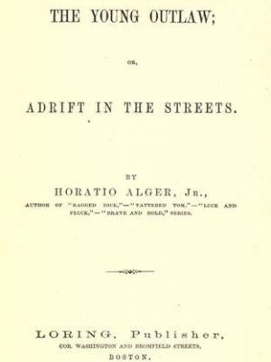 The young outlaw, or, Adrift in the streets