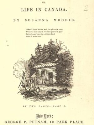 Roughing it in the bush